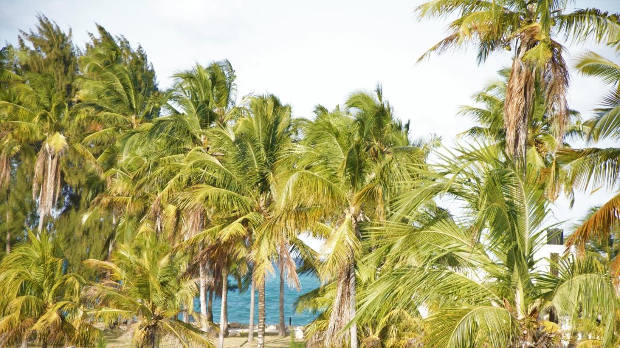 Paje Blu Boutique Hotel Luaran gambar